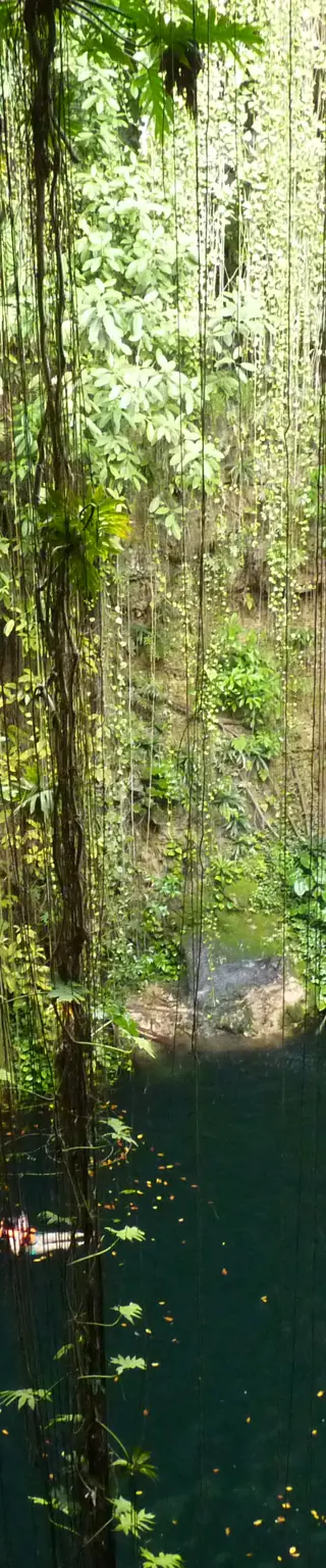 Durch den Dschungel biken im Punta Venado Bike Park